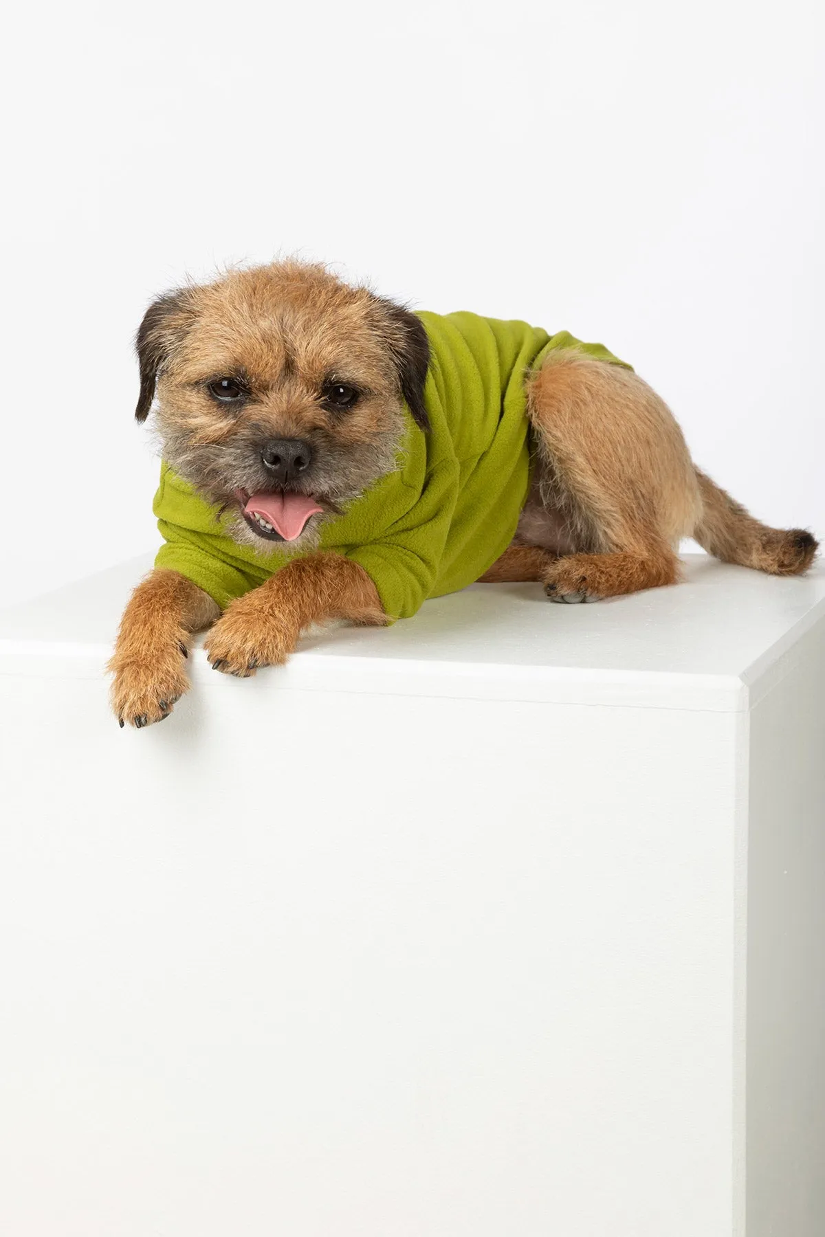 Lightweight Micro Fleece Dog Jumper - Yapham