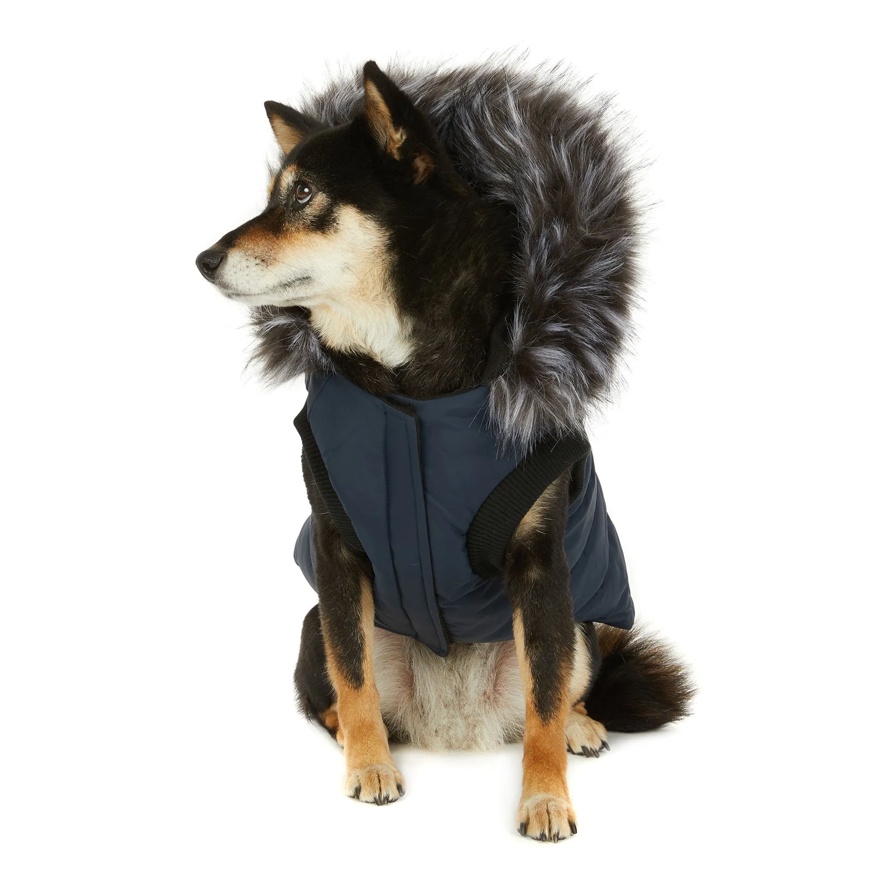 Toby Jacket for Dogs